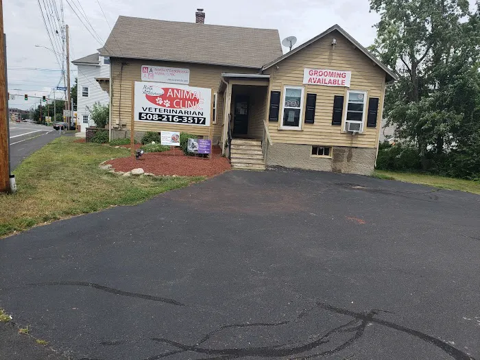 North Attleborough Animal Clinic LLC Picture 8