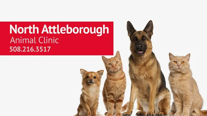 North Attleborough Animal Clinic LLC Picture 6