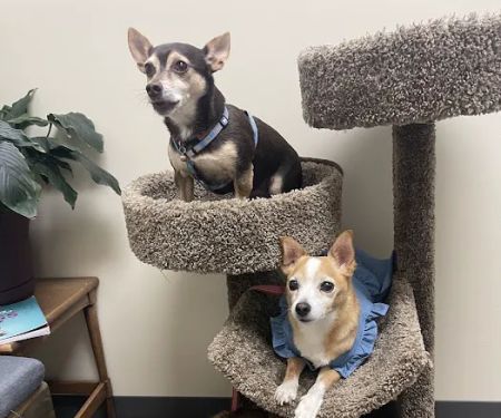 Petco