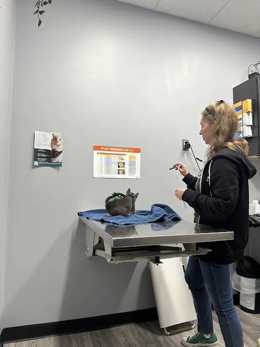 Artemis Veterinary Picture 2