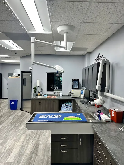 Artemis Veterinary Picture 10