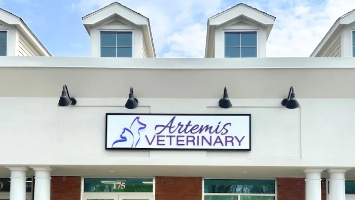 Artemis Veterinary Picture 9