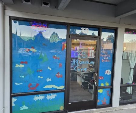 Q's Aquarium Care