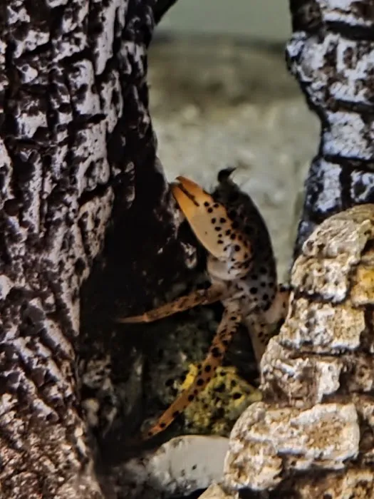 Q's Aquarium Care Picture 9