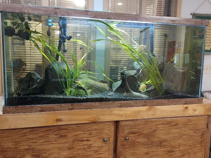 Q's Aquarium Care Picture 5
