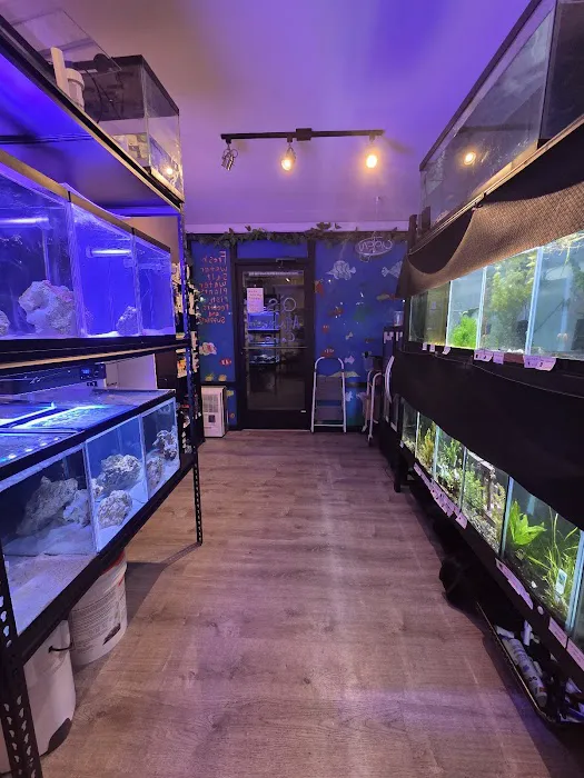 Q's Aquarium Care Picture 4