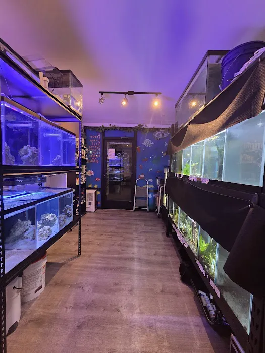 Q's Aquarium Care Picture 6