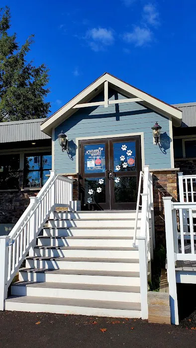 Marlboro Animal Hospital Picture 8