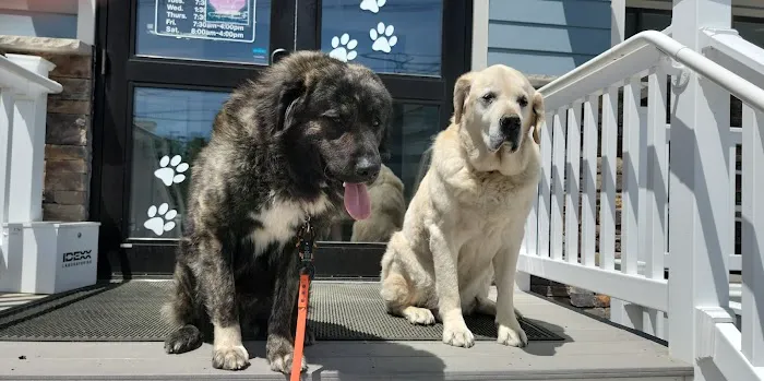 Marlboro Animal Hospital Picture 2