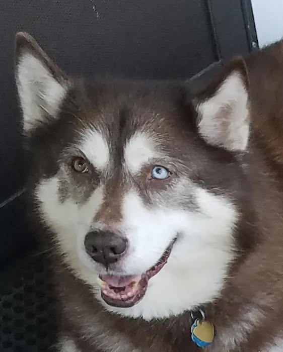 Compassion Veterinary Clinic Picture 3