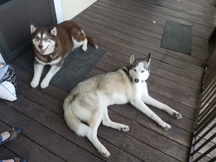 Compassion Veterinary Clinic Picture 5