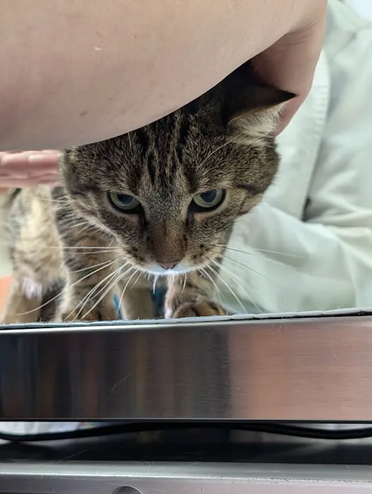 Compassion Veterinary Clinic Picture 1