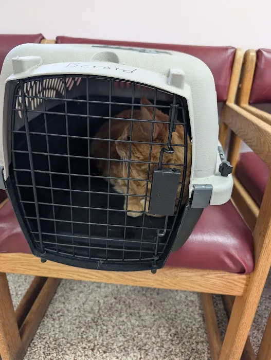 Compassion Veterinary Clinic Picture 8