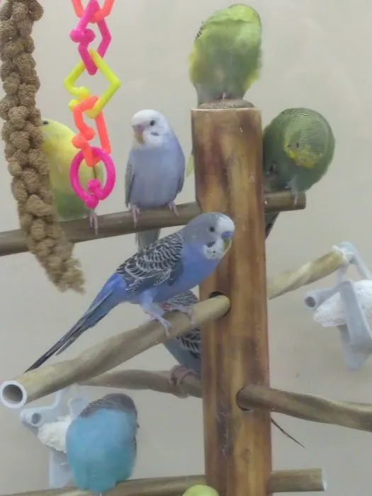 Petco Picture 6