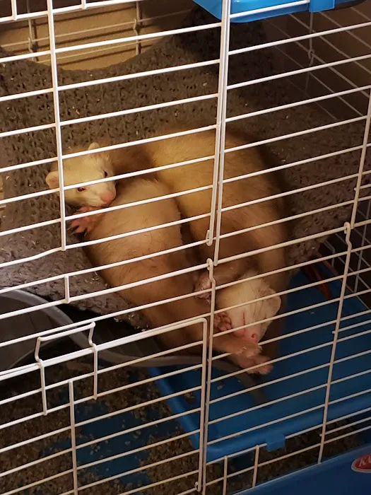 Petco Picture 7
