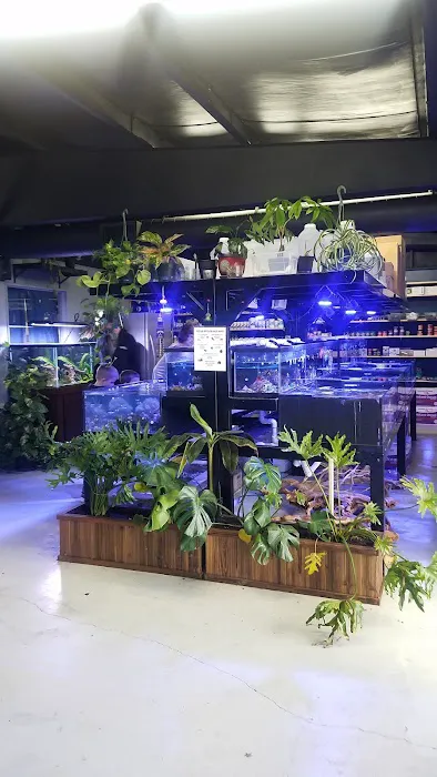 The Premium Aquarium Picture 6