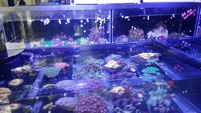 The Premium Aquarium Picture 7
