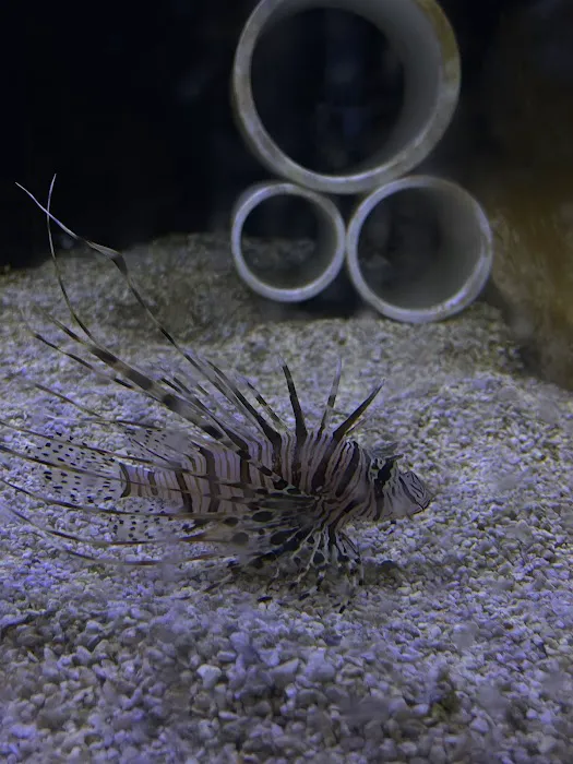 The Premium Aquarium Picture 3