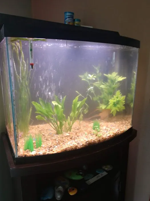 The Premium Aquarium Picture 4