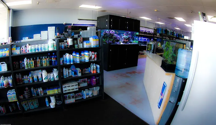 The Premium Aquarium Picture 10