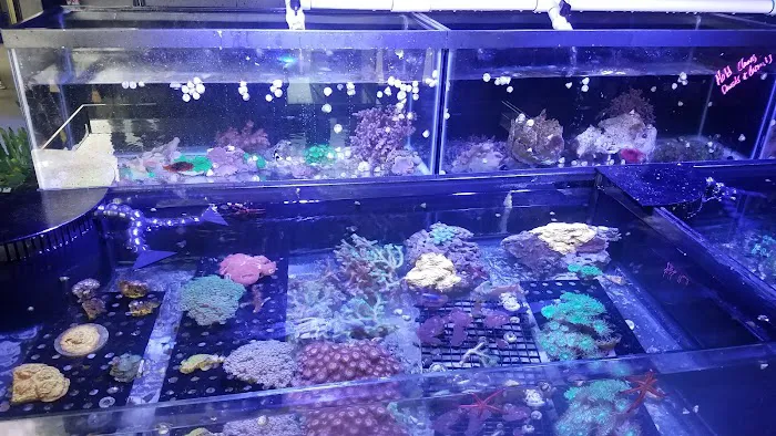 The Premium Aquarium Picture 8