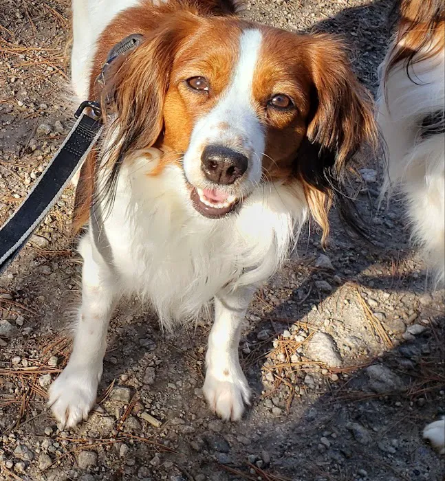 Slade Veterinary Hospital Picture 1