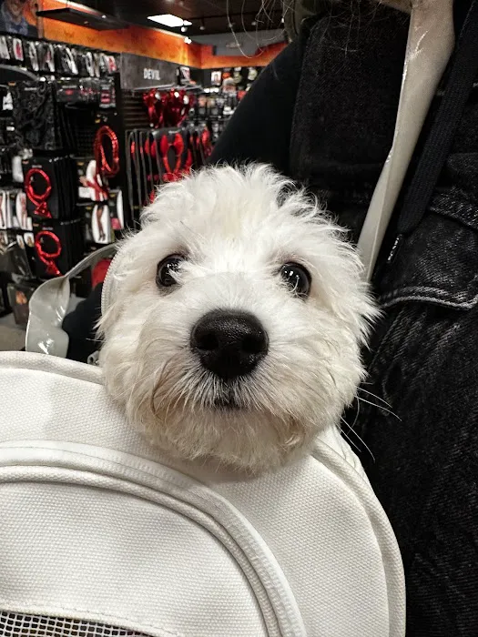 Slade Veterinary Hospital Picture 2