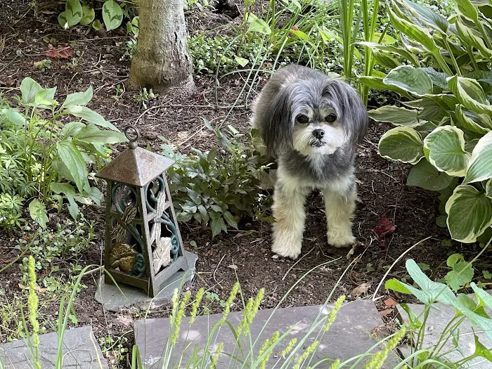 Slade Veterinary Hospital Picture 8