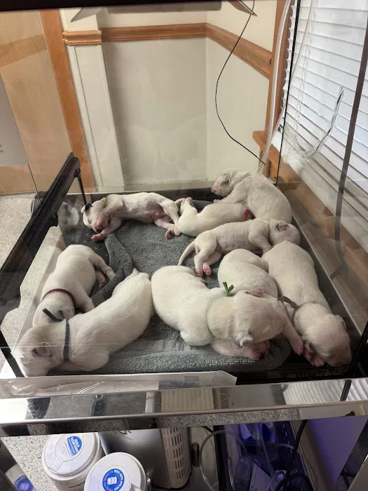 Slade Veterinary Hospital Picture 10