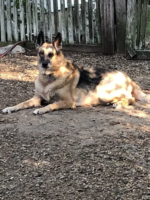 Slade Veterinary Hospital Picture 6