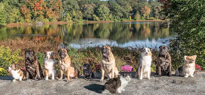 Slade Veterinary Hospital Picture 4