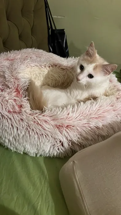 Banfield Pet Hospital Picture 4