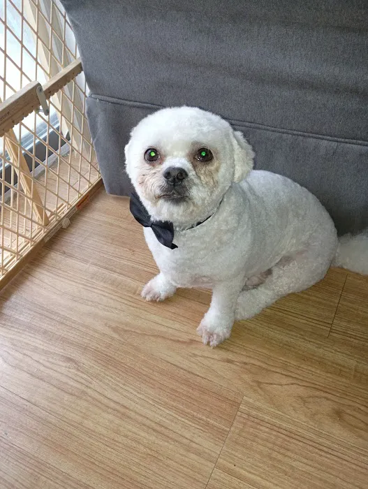 Banfield Pet Hospital Picture 1