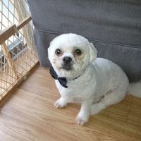 Banfield Pet Hospital ico