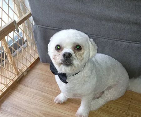 Banfield Pet Hospital