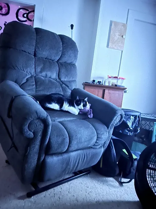 Banfield Pet Hospital Picture 9