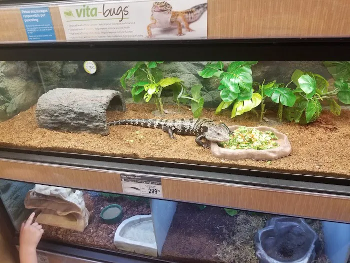 Petco Picture 1