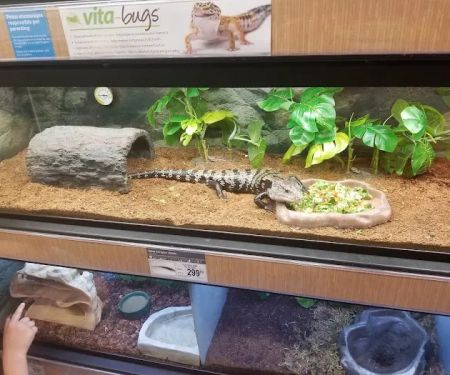 Petco