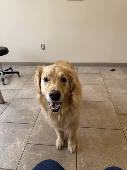 Boston West Veterinary Emergency & Specialty Picture 10