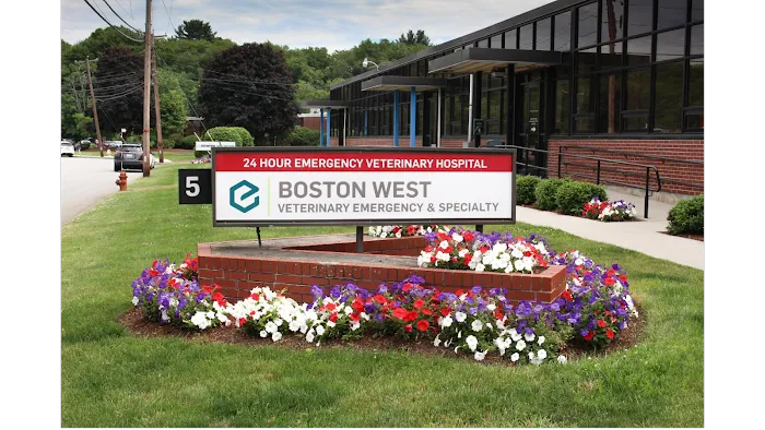 Boston West Veterinary Emergency & Specialty Picture 9