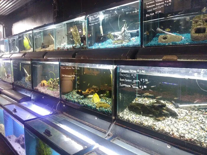 The Pet Works Picture 4
