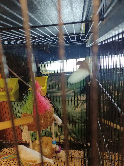 The Pet Works Picture 1