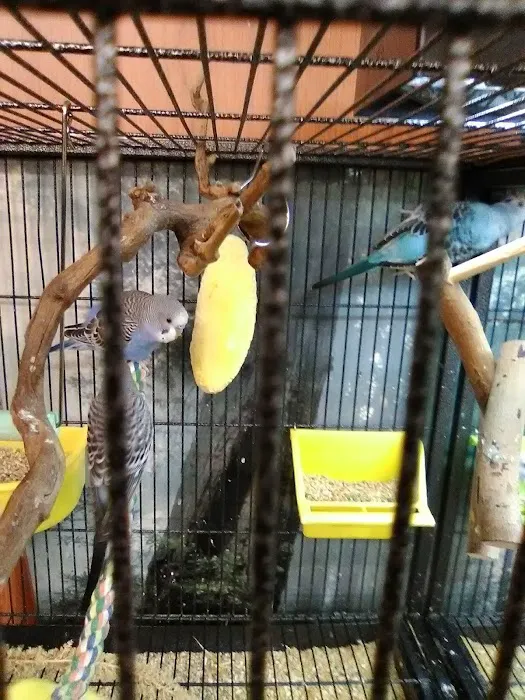 The Pet Works Picture 8
