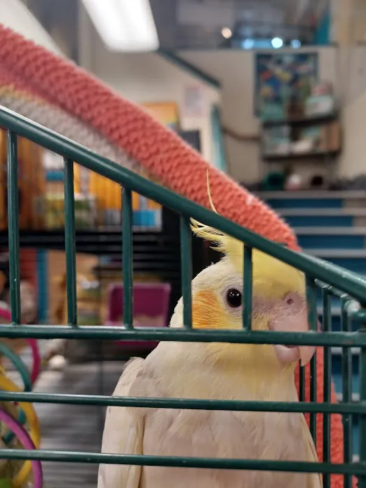 The Pet Works Picture 2
