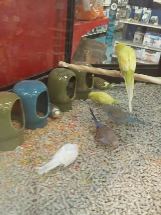 Petco Picture 1