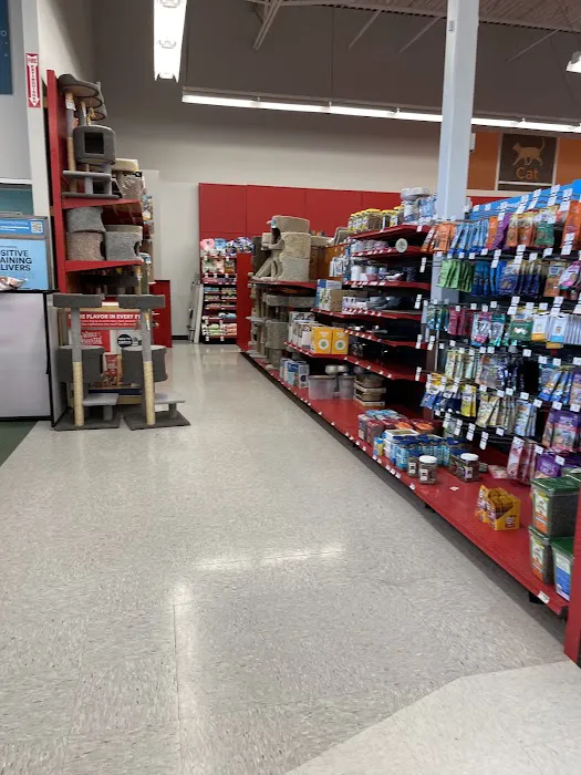 Petco Picture 3