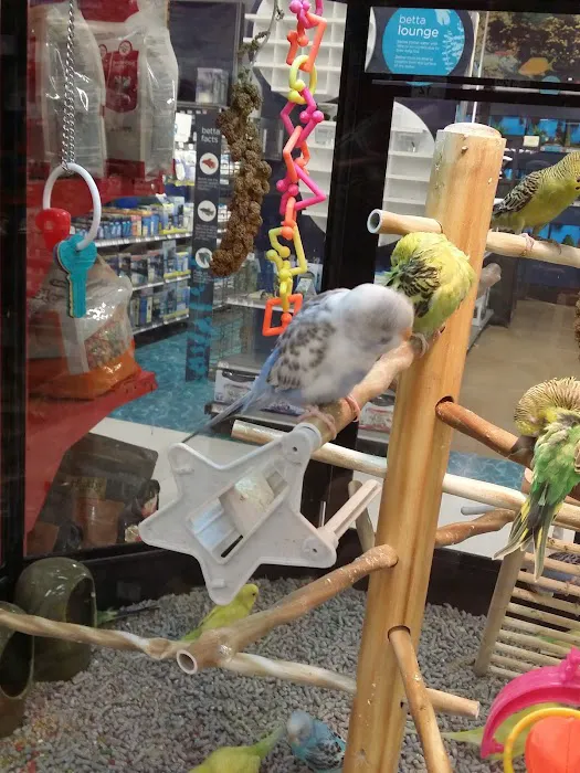 Petco Picture 4