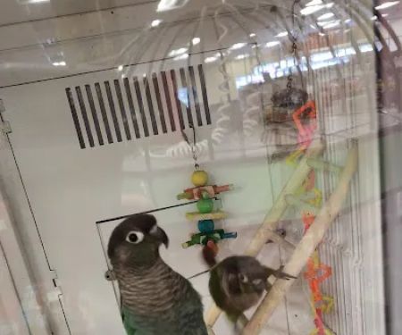 Petco