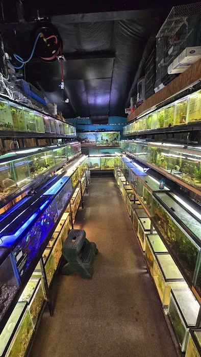 Animal House Picture 3