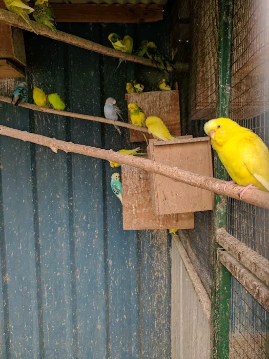 Animal House Picture 8